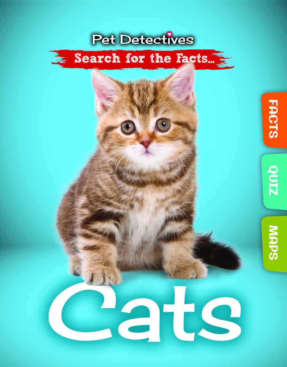 Lindsey Lowe : Cats (med bonusmaterial)