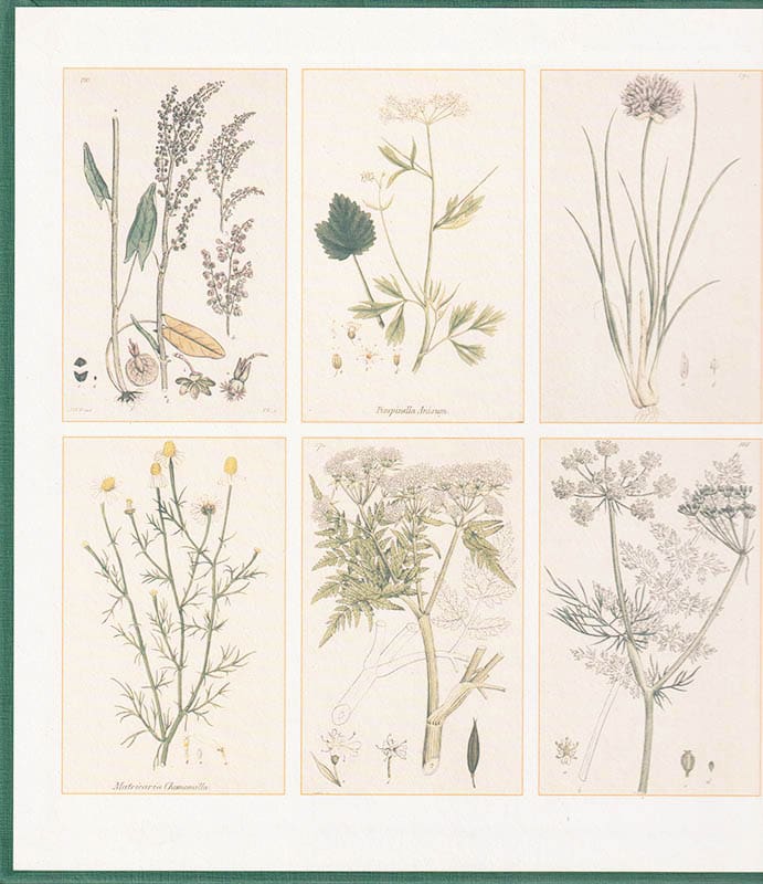 Lindvall, Anna ; Lindvall, Gunvor ; Toresdotter, Helene : Örter