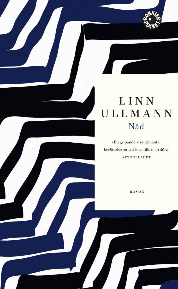 Linn Ullmann : Nåd
