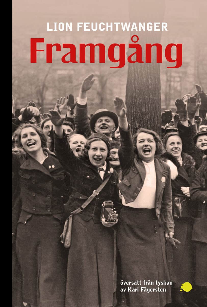 Lion Feuchtwanger : Framgång