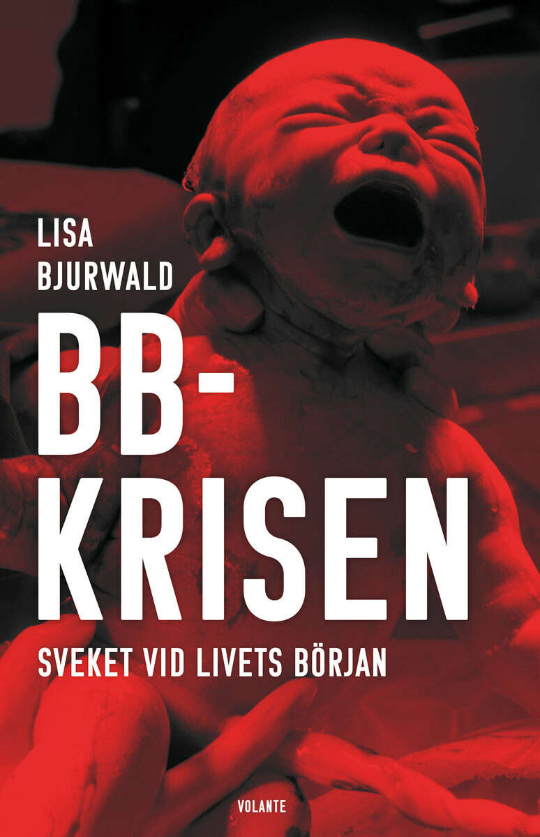 Lisa Bjurwald : BB-krisen : sveket vid livets början