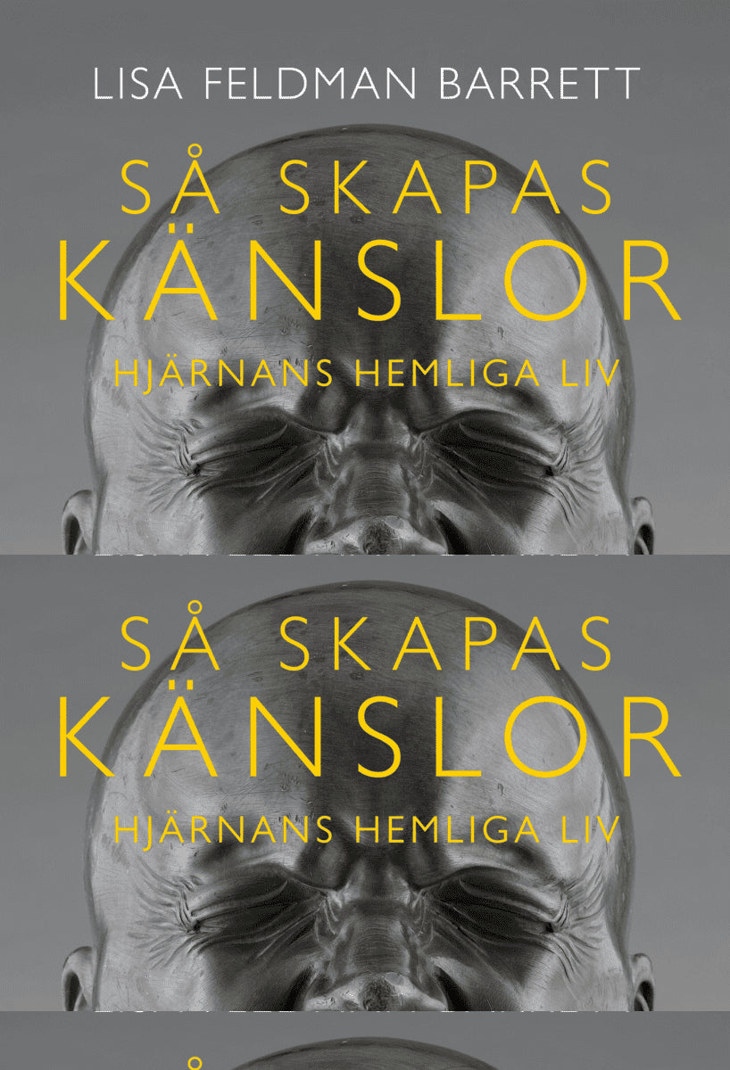 Lisa Feldman Barrett : Så skapas känslor : Hjärnans hemliga liv