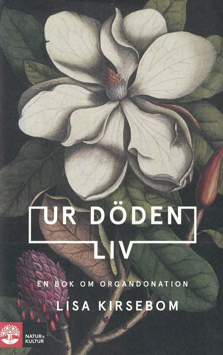 Lisa Kirsebom : Ur döden liv