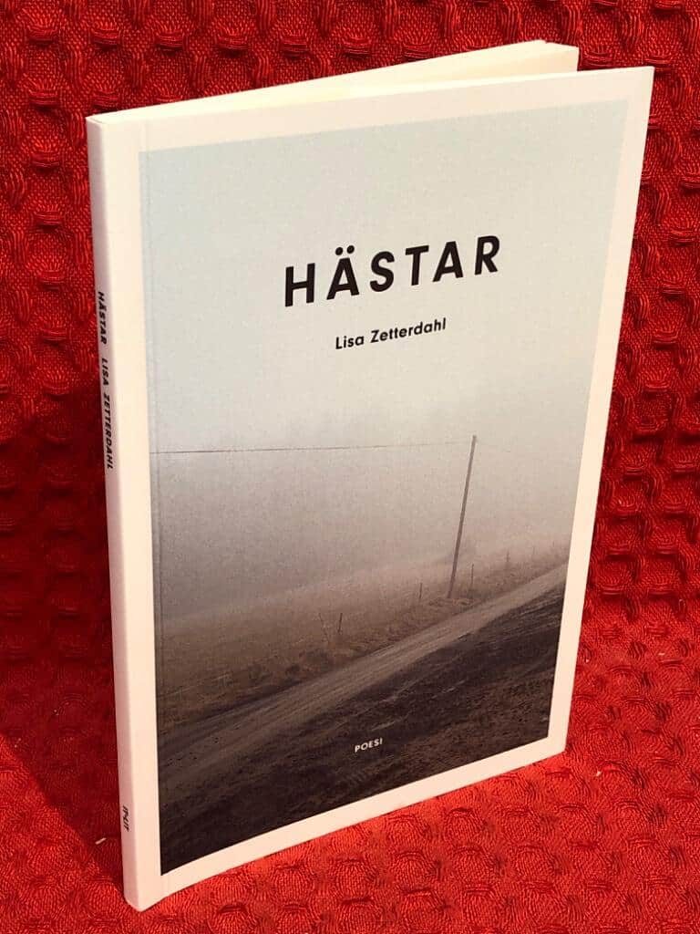 Lisa Zetterdahl : Hästar