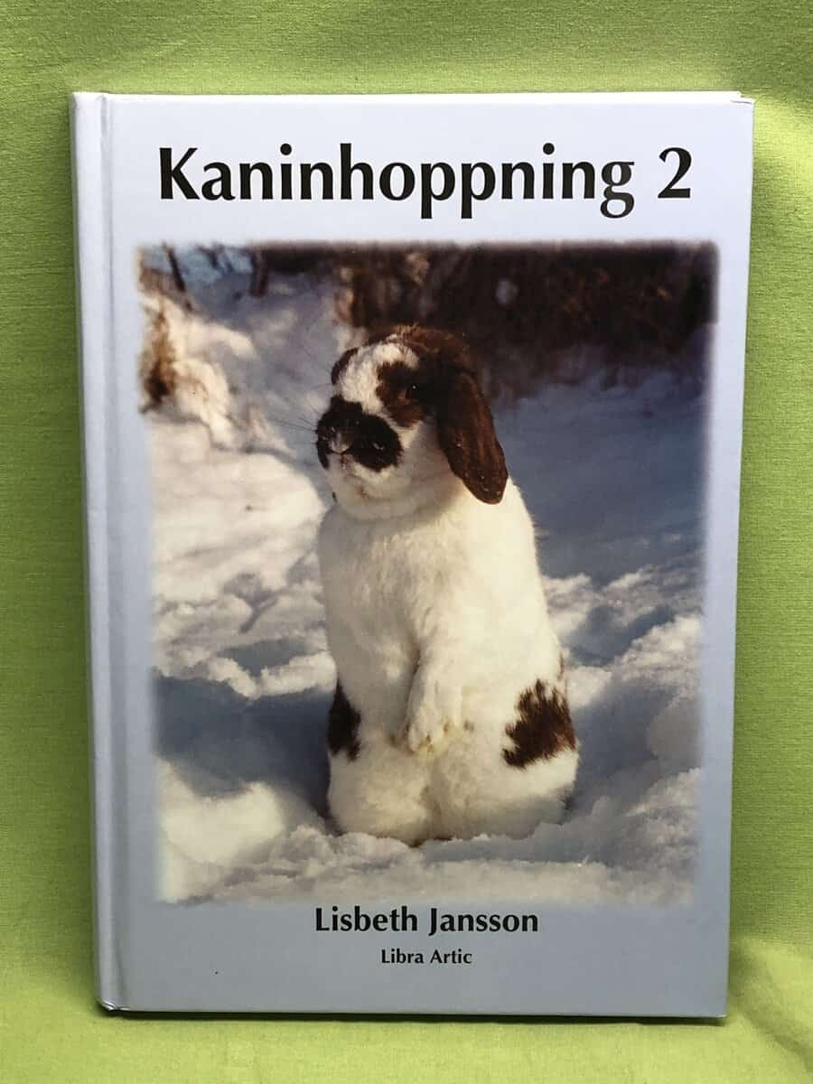 Lisbeth Jansson : Kaninhoppning 2