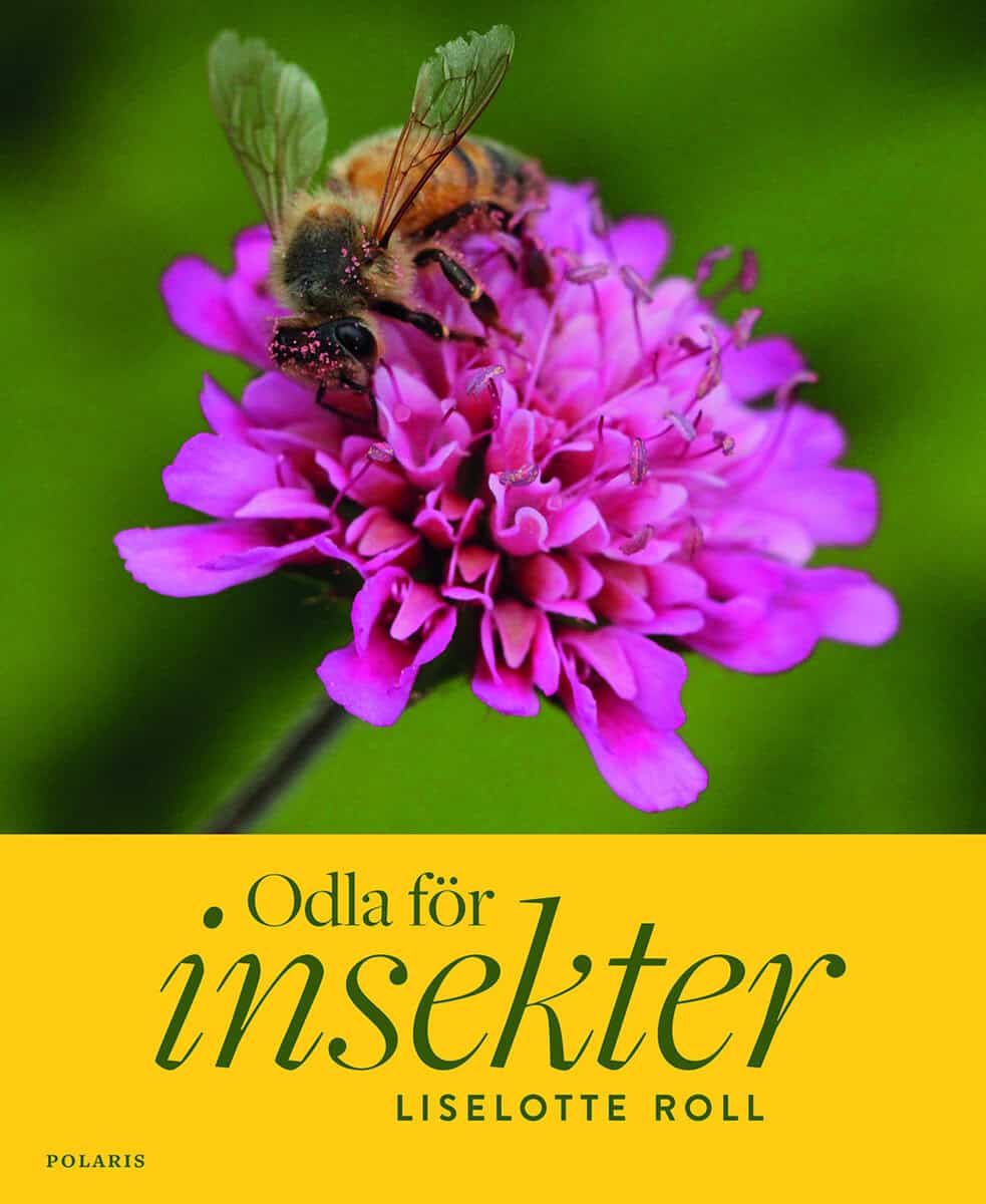 Liselotte Roll : Odla för insekter