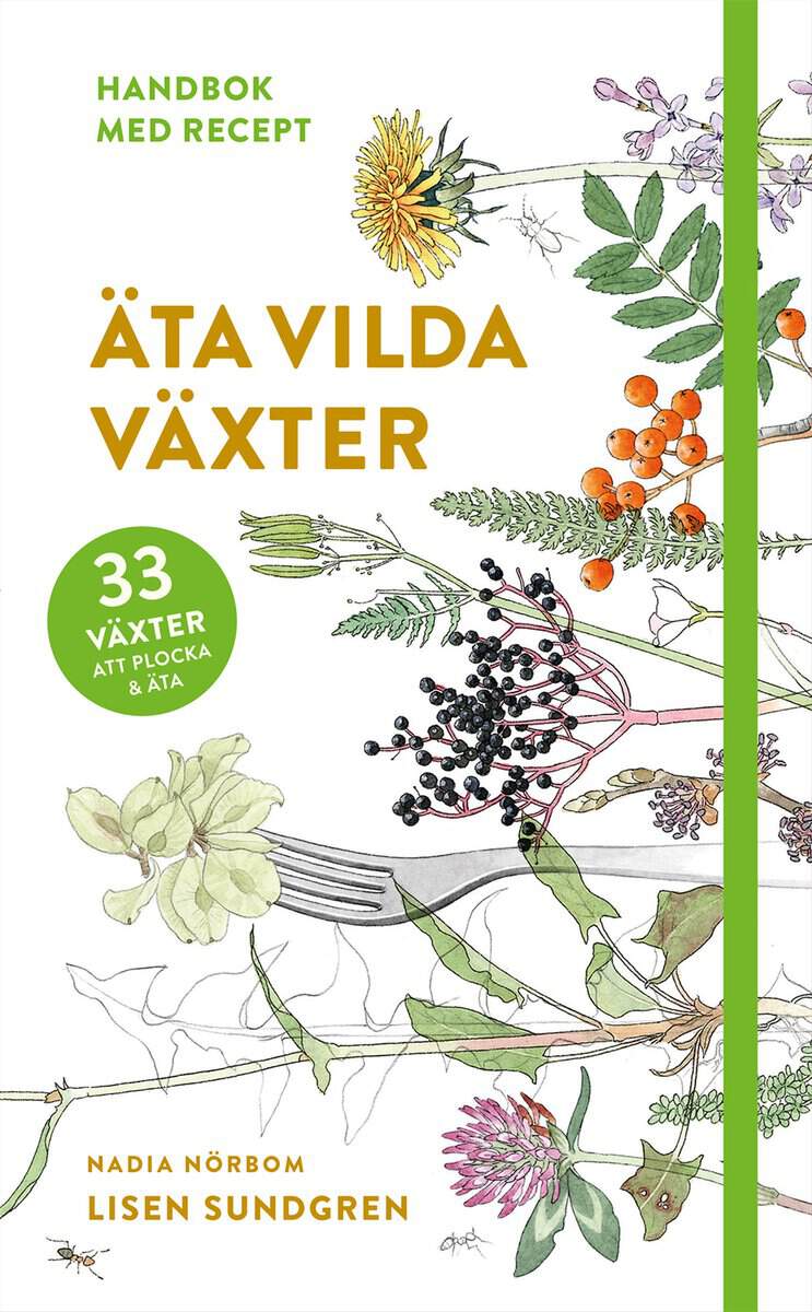 Lisen Sundgren : Äta vilda växter