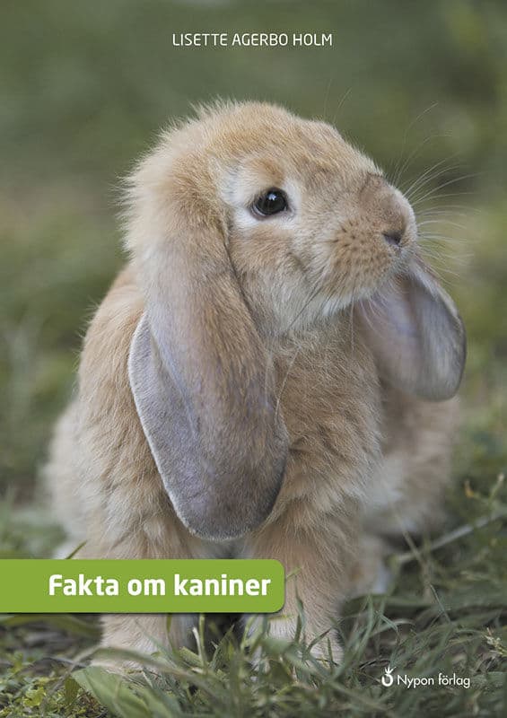 Lisette Agerbo Holm : Fakta om kaniner