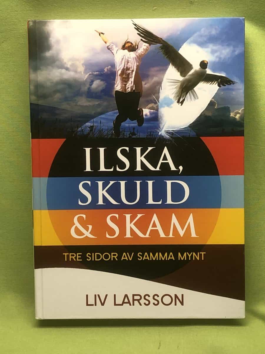 Liv Larsson : Ilska, skuld och skam