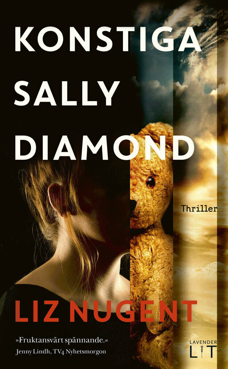 Liz Nugent : Konstiga Sally Diamond