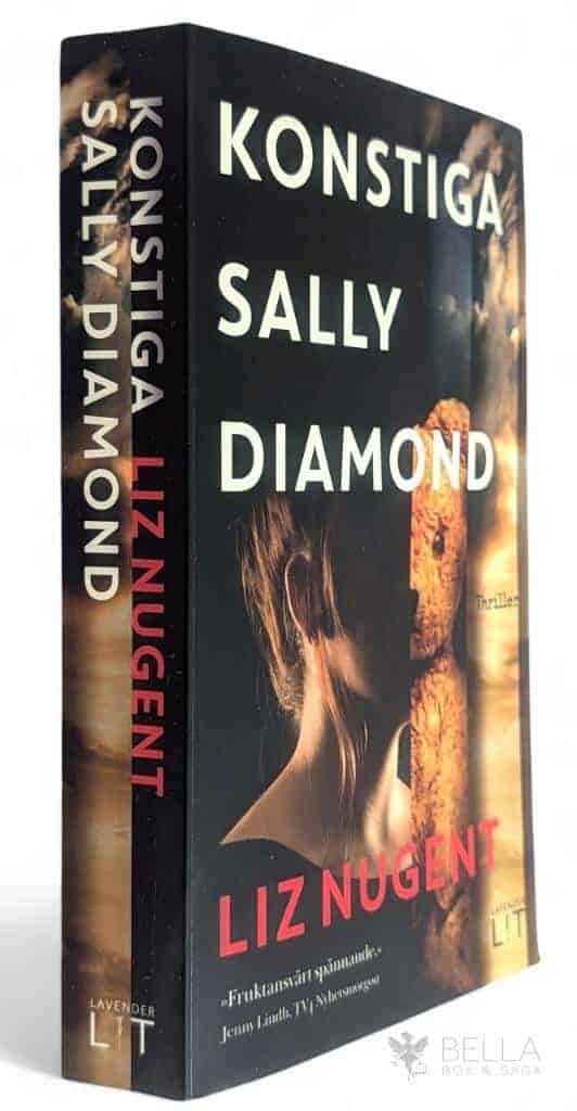 Liz Nugent : Konstiga Sally Diamond