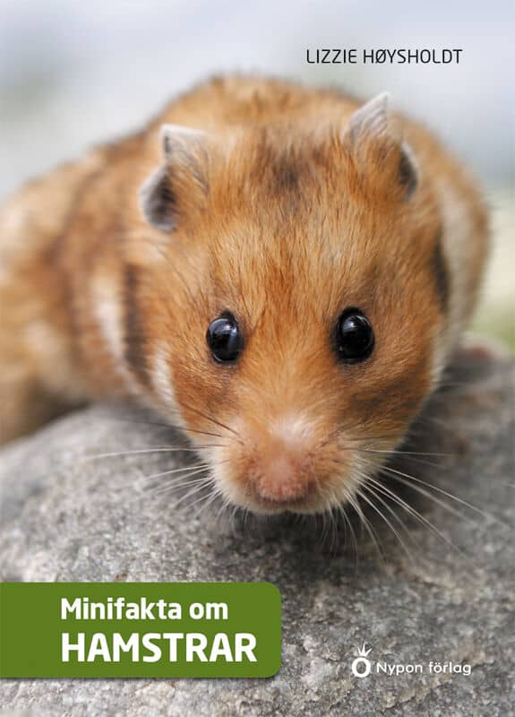 Lizzie Høysholdt : Minifakta om hamstrar