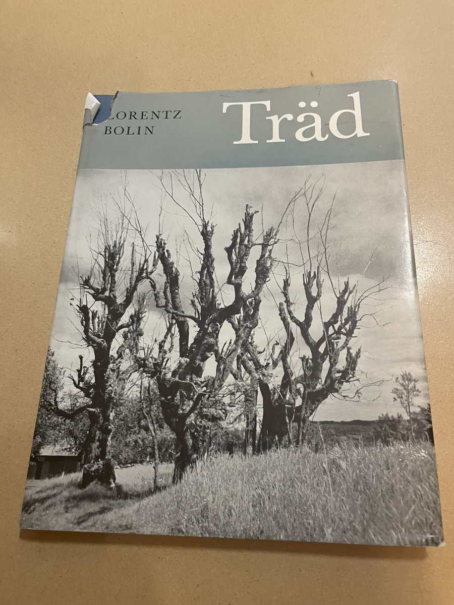 Bolin,Lorentz : Träd