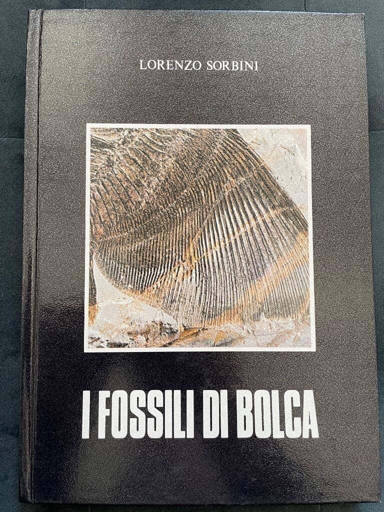 Lorenzo Sorbini : I fossili di Bolca