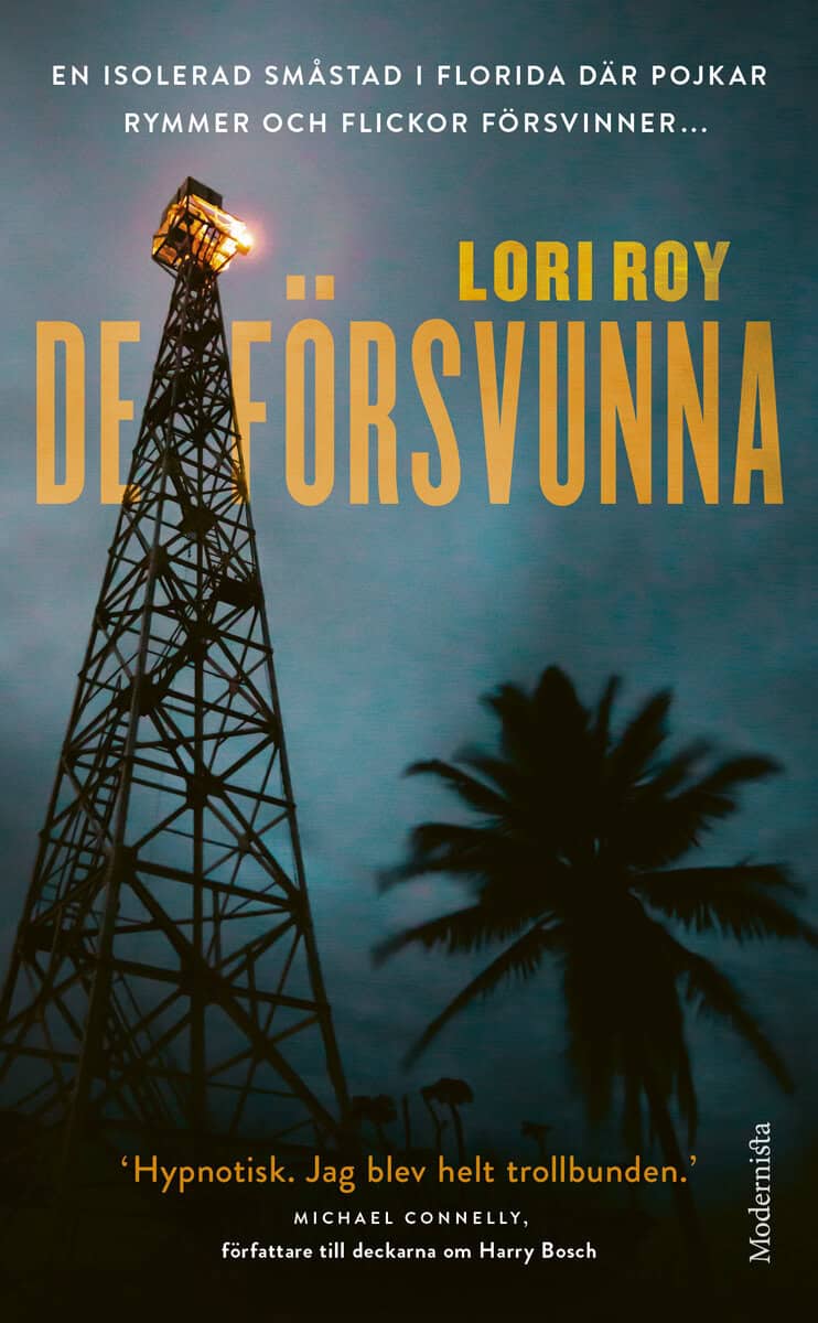 Lori Roy : De försvunna