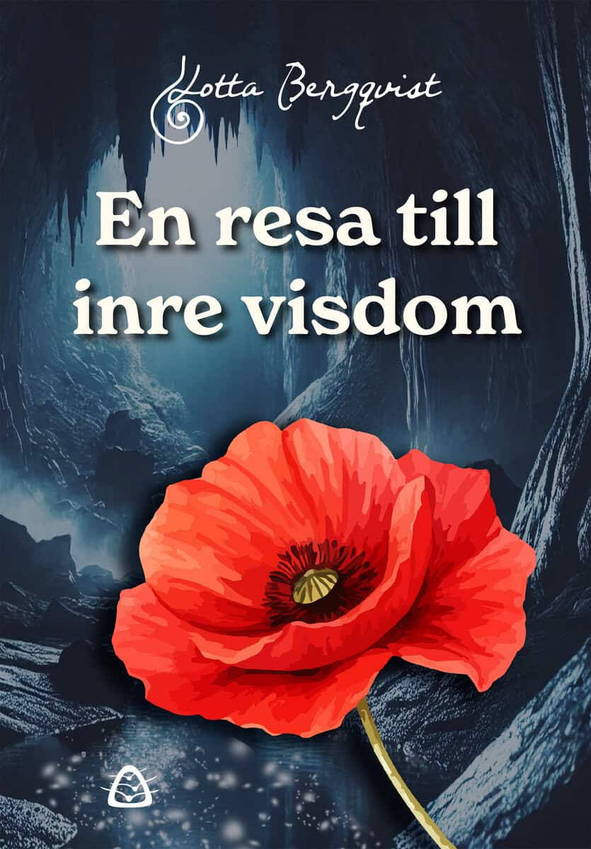 Lotta Bergqvist : En resa till inre visdom