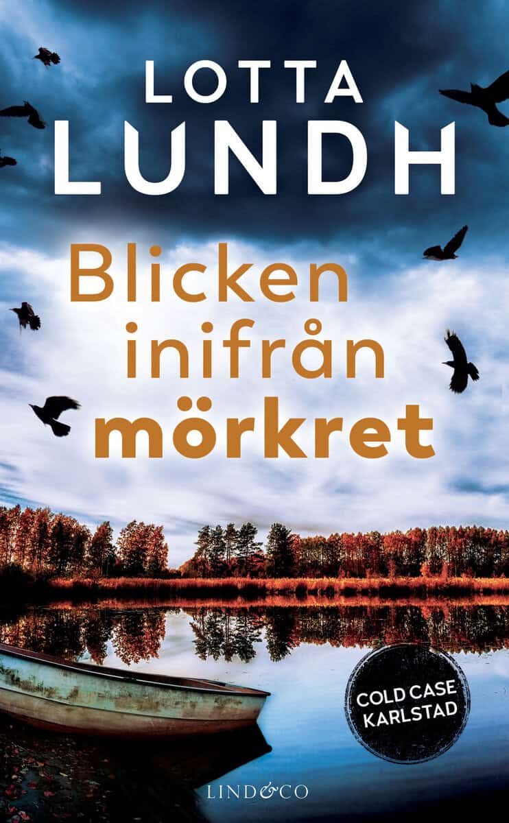 Lotta Lundh : Blicken inifrån mörkret