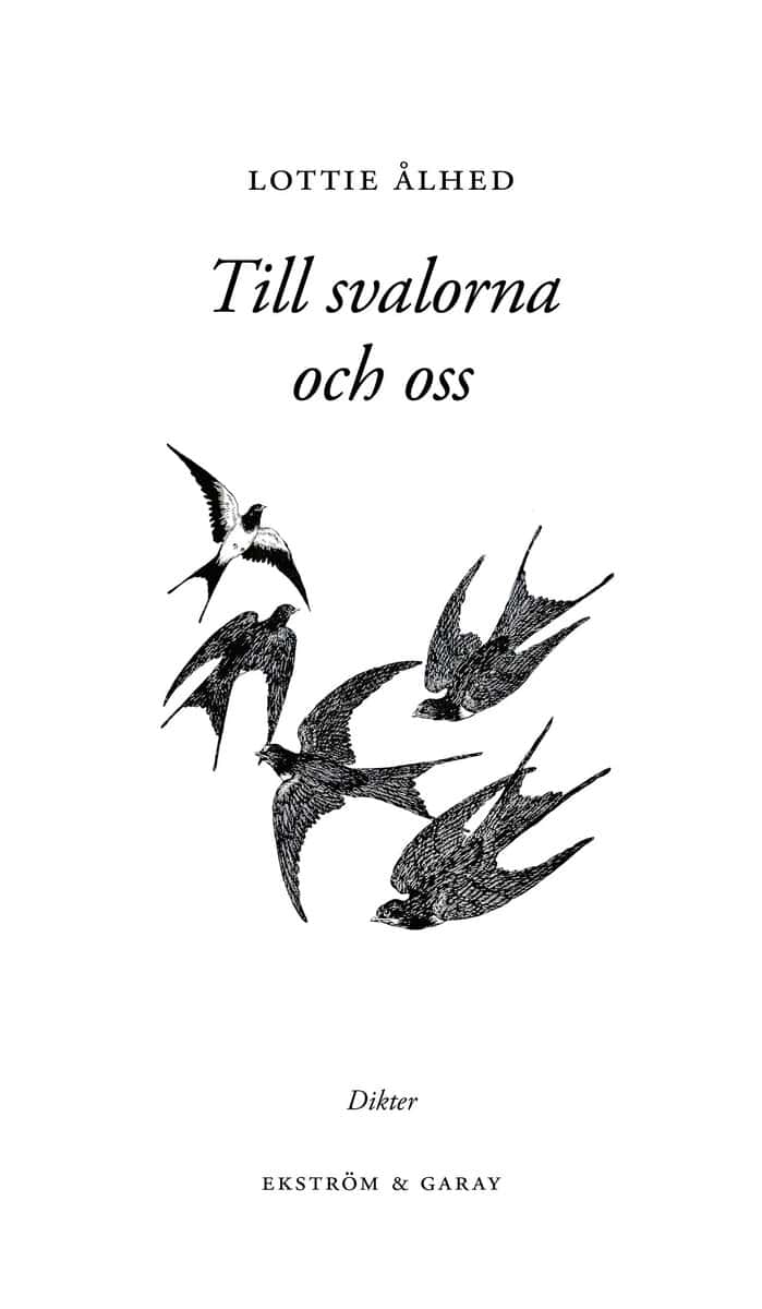 Lottie Ålhed : Till svalorna och oss