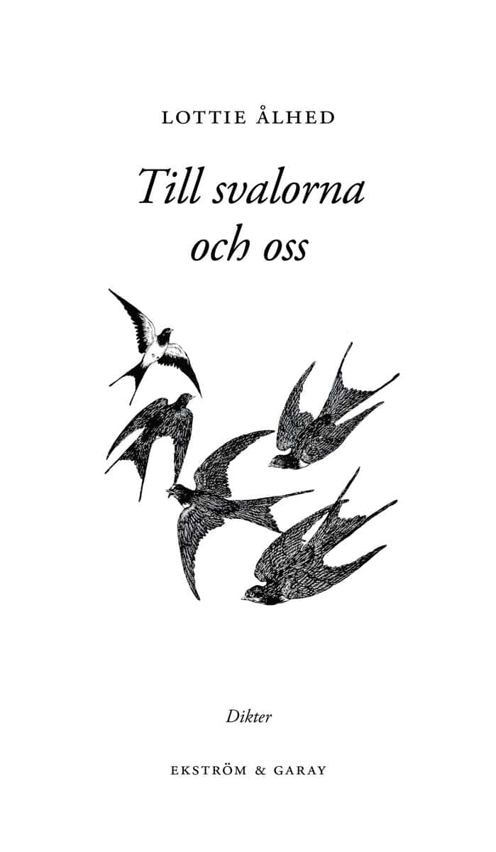 Lottie Ålhed : Till svalorna och oss