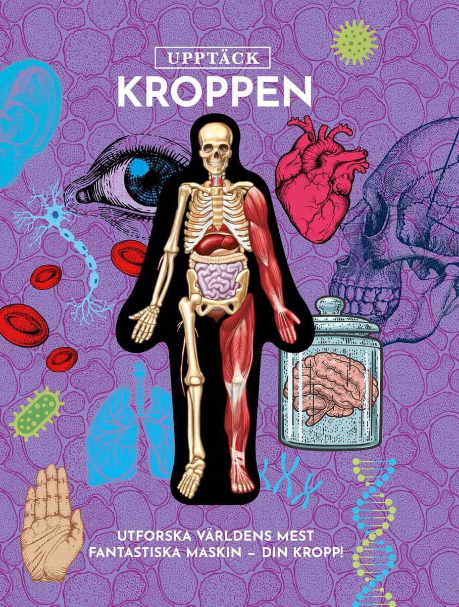 Luann Colombo : Upptäck kroppen