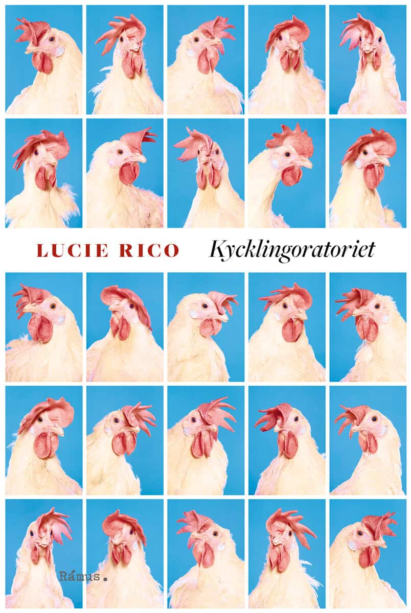 Lucie Rico : Kycklingoratoriet