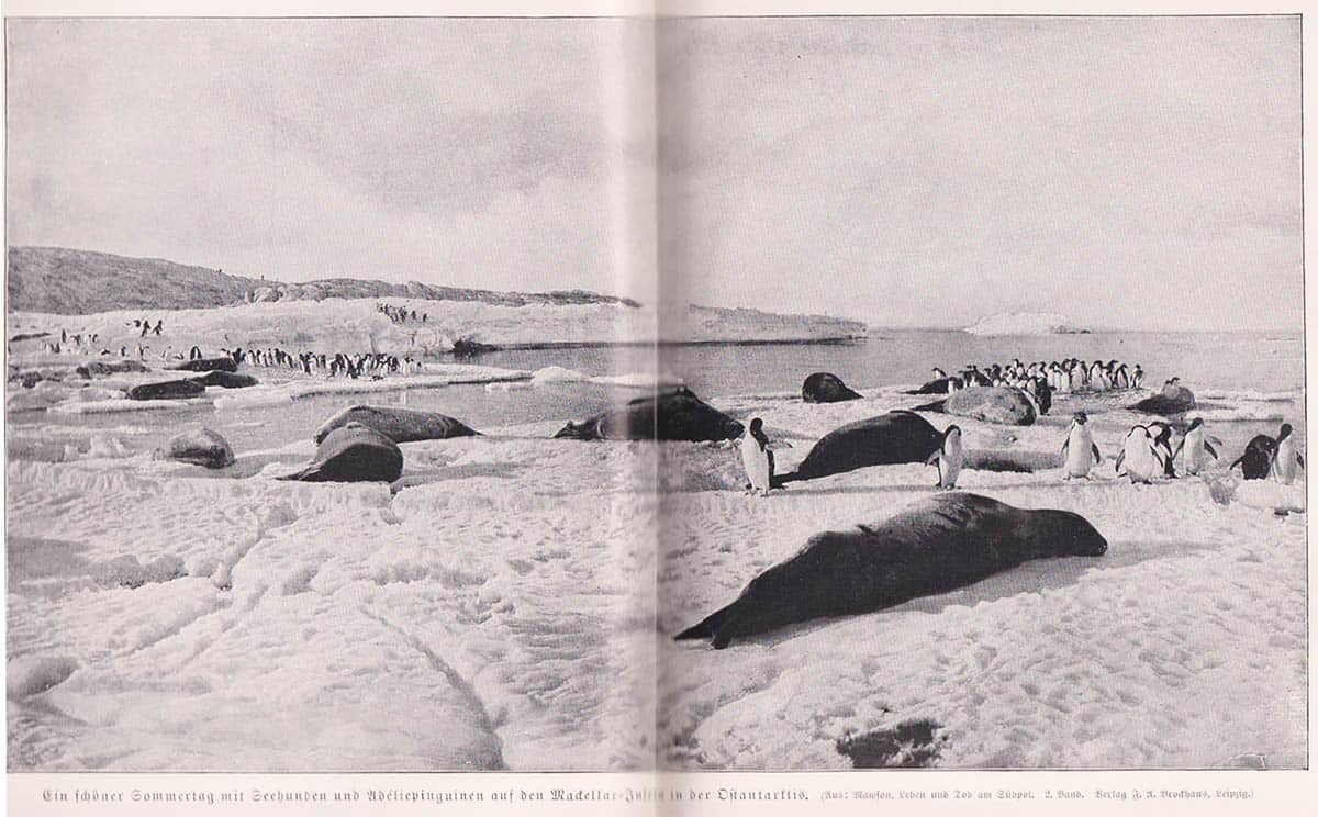 Ludwig Mecking : Die Polarländer. Mit 17 Kärtchen, Profilen und Diagrammen im Text, 2 Kartenbeilagen, 6 Doppeltafeln in Atzung und 1 Tafel in Farbendruck