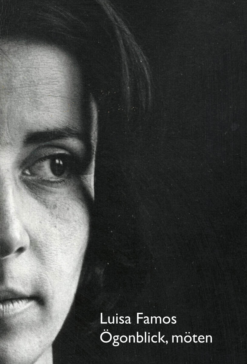 Luisa Famos : Ögonblick, möten