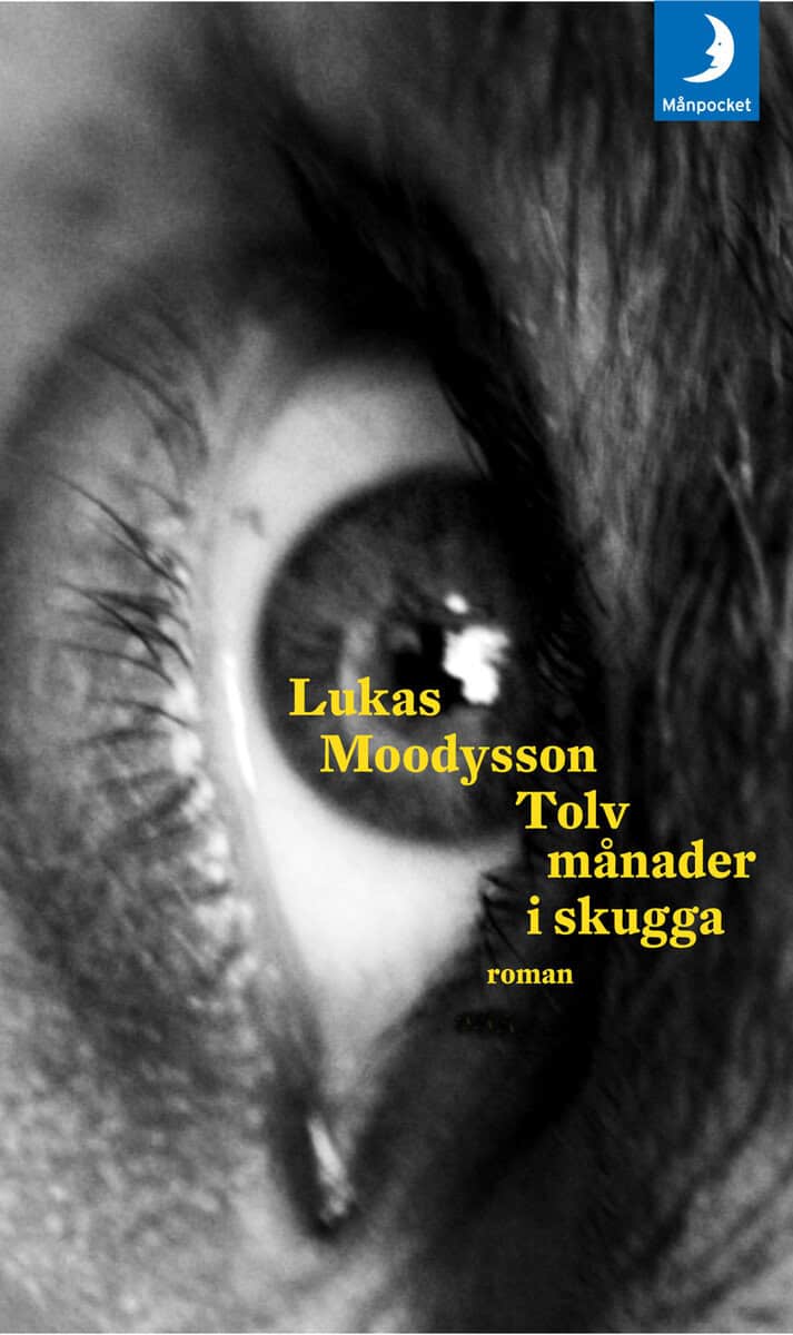 Lukas Moodysson : Tolv månader i skugga