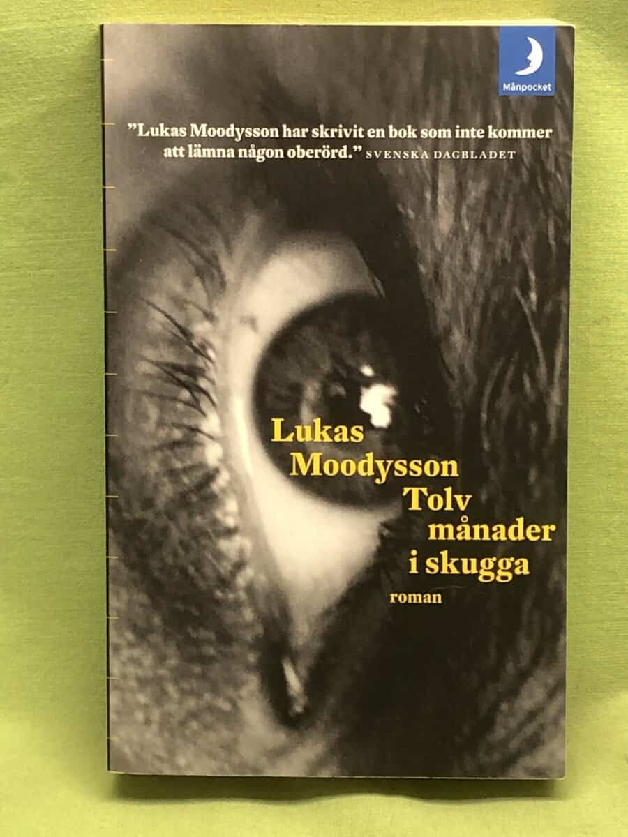 Lukas Moodysson : Tolv månader i skugga