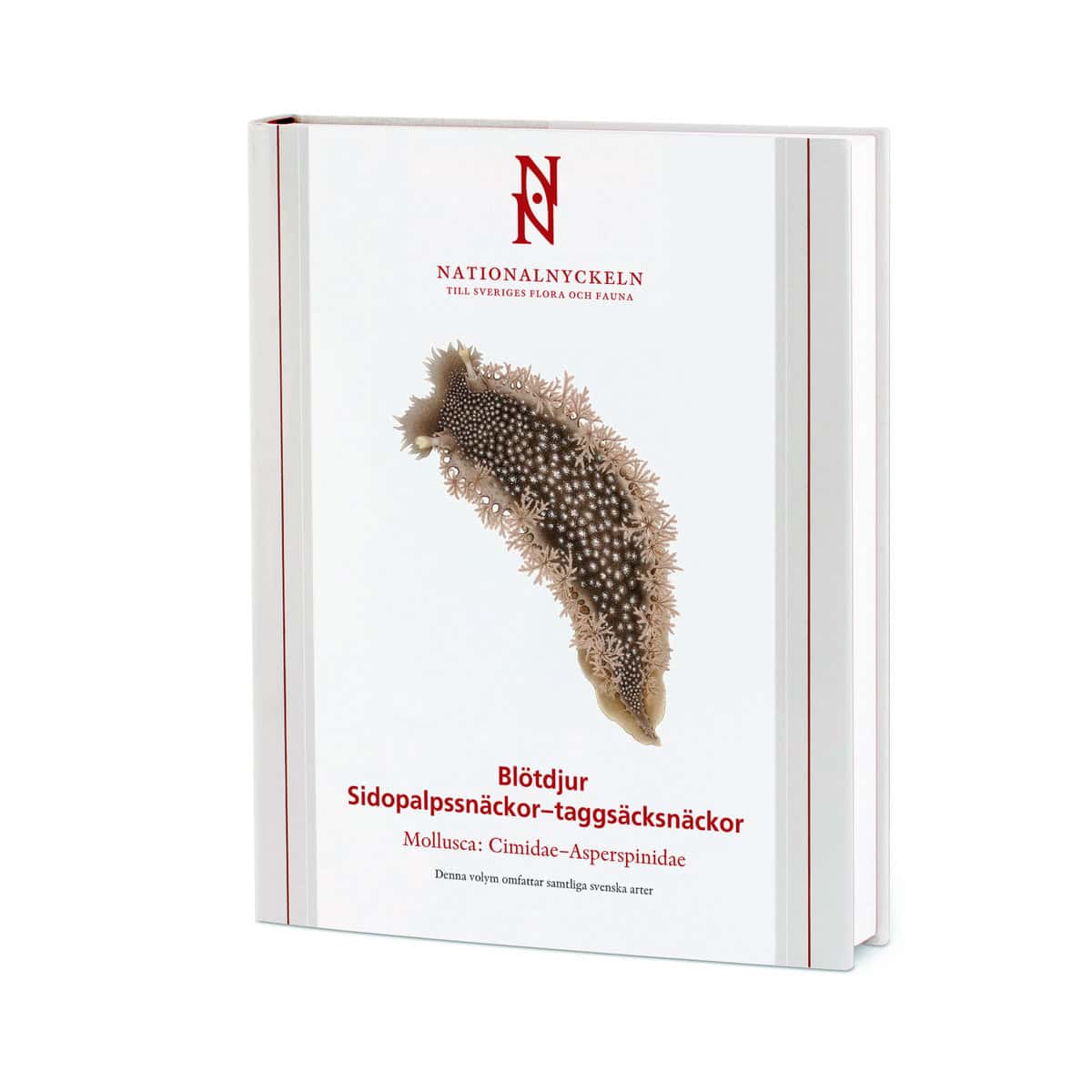 Lundin, Kennet ; Malmberg , Klas ; Pleijel, Fredrik : Blötdjur: Sidopalpssnäckor – taggsäcksnäckor. Mollusca: Cimidae–Asperspinidae