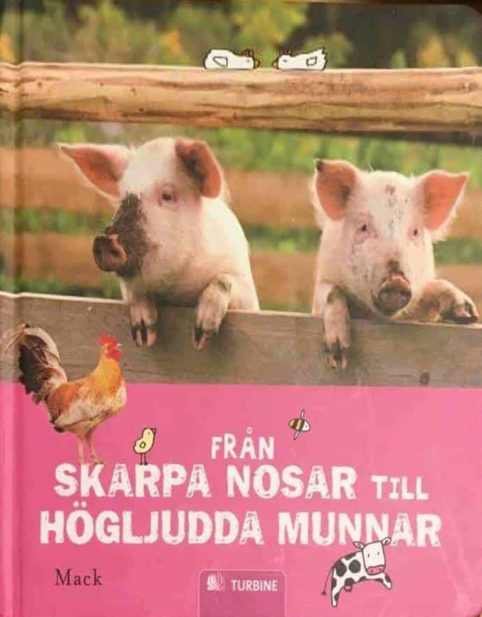 Mack : Från skarpa nosar till högljudda munnar