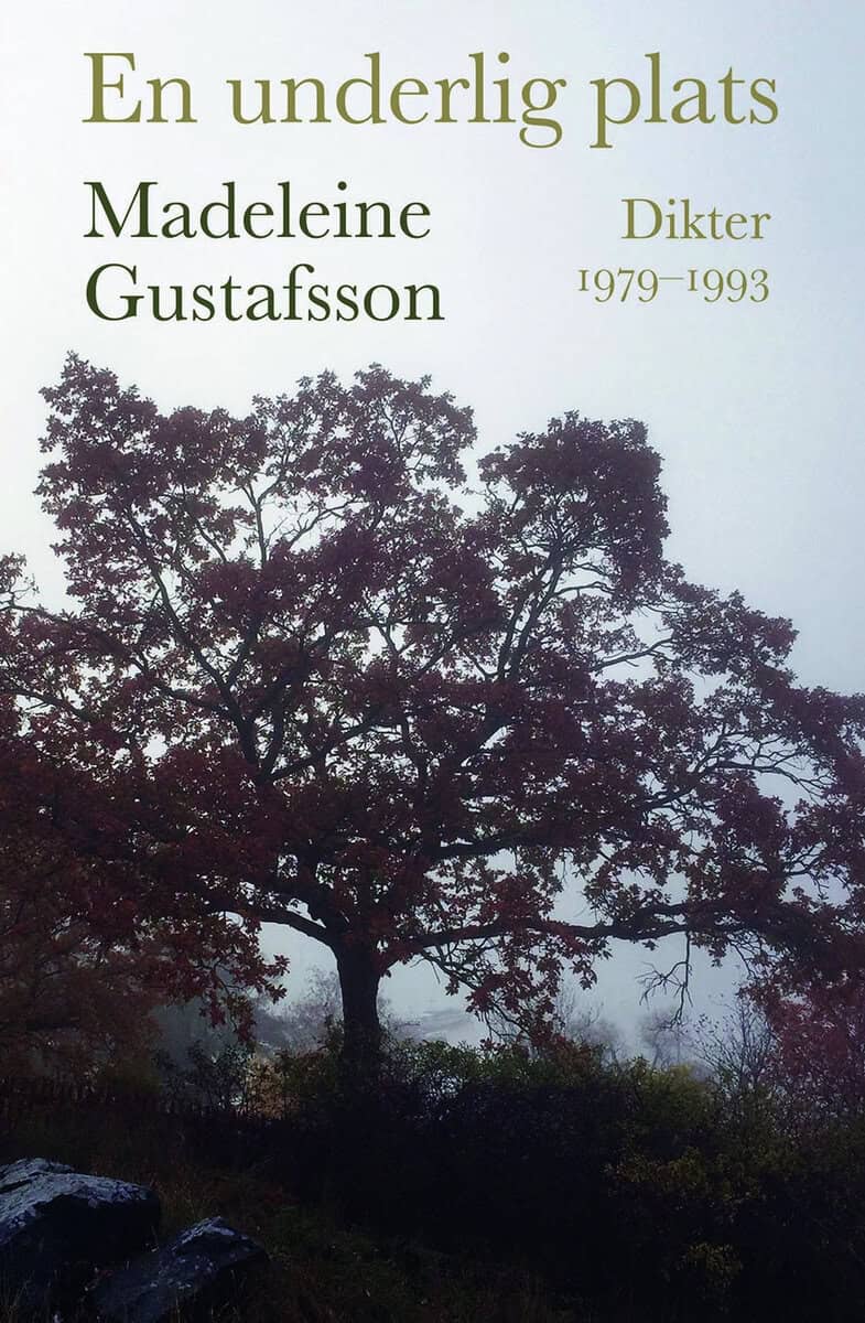 Madeleine Gustafsson : En underlig plats : dikter 1979-1993