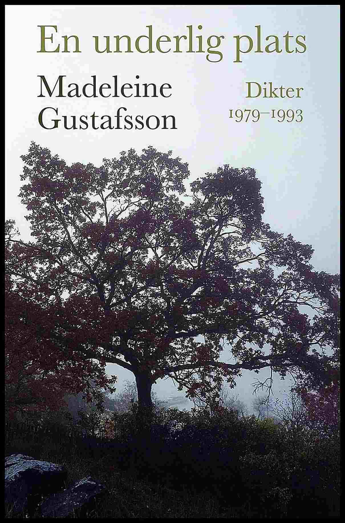 Madeleine Gustafsson : En underlig plats