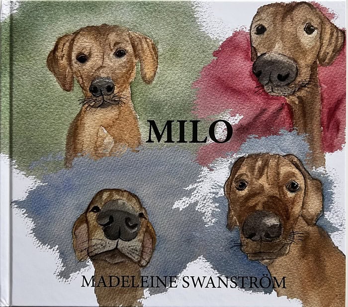 Madeleine Swanström : Milo