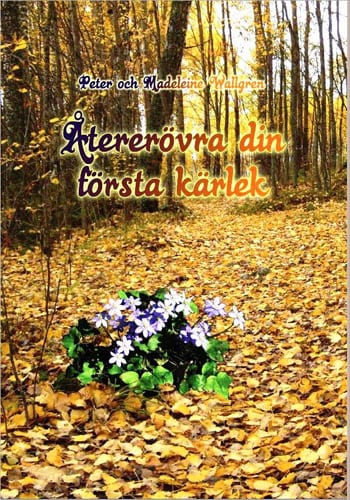 Madeleine Wallgren : Återerövra din första kärlek