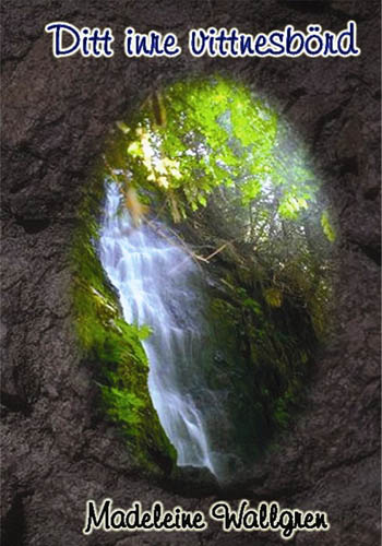 Madeleine Wallgren : Ditt inre vittnesbörd