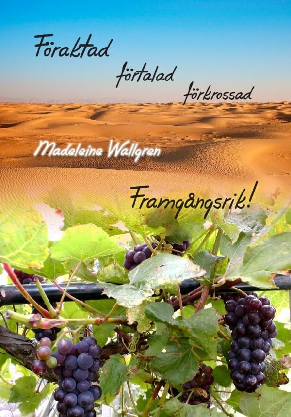 Madeleine Wallgren : Föraktad, förtalad, förkrossad - Framgångsrik!