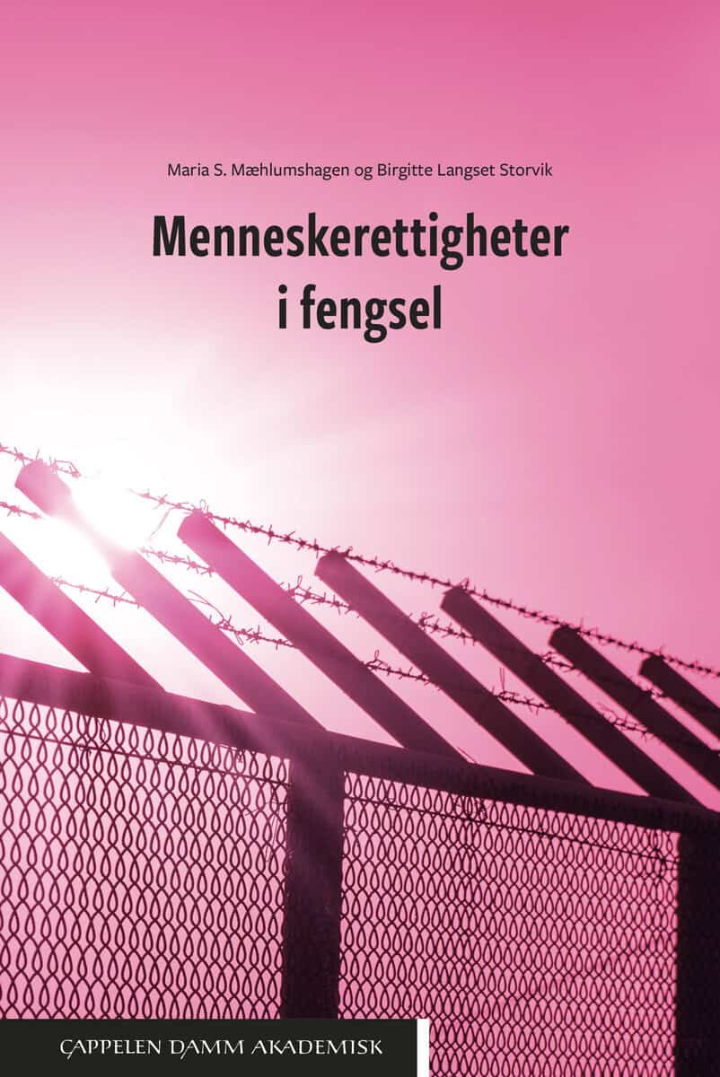 Mæhlumshagen, Maria S. ; Langset Storvik, Birgitte : Menneskerettigheter i fengsel