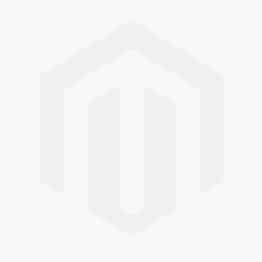 Magdalena Stjernberg : Penselgänget : arkeologen gör det i graven