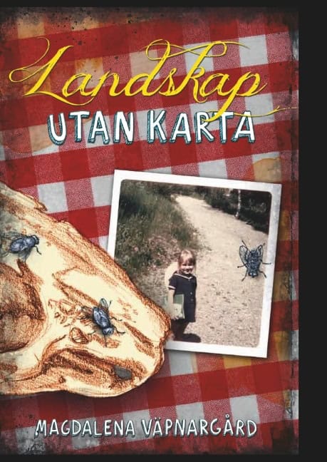 Magdalena Väpnargård : Landskap utan karta