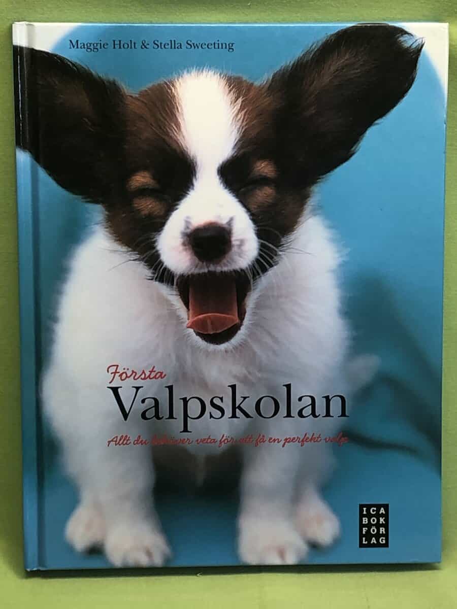 Maggie Holt : Första valpskolan