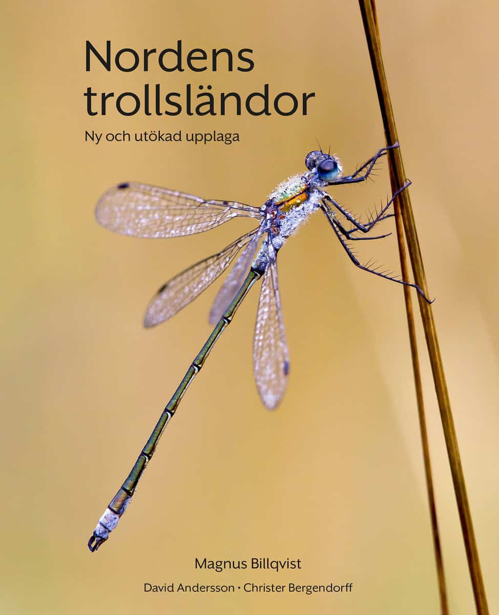 Magnus Billqvist : Nordens trollsländor