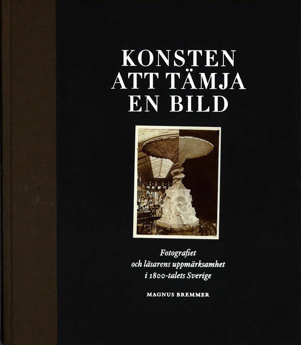 Magnus Brenner : Konsten att tämja en bild