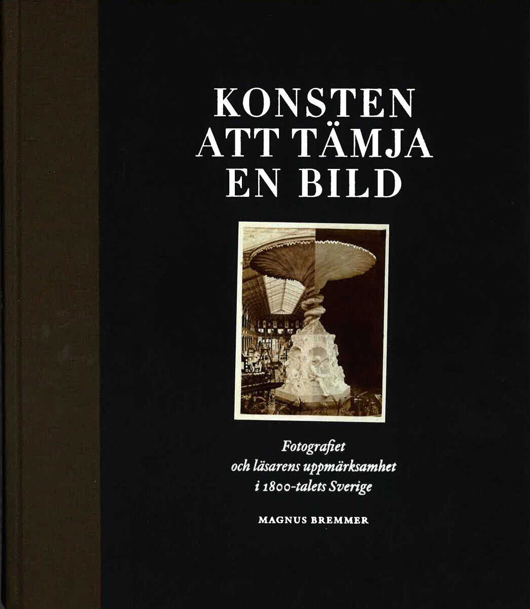 Magnus Brenner : Konsten att tämja en bild