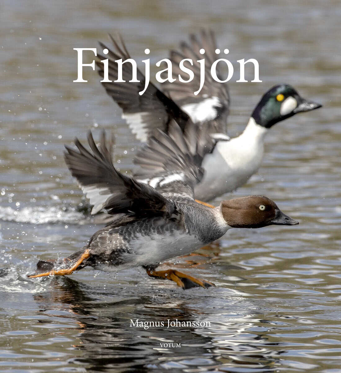 Magnus Johansson : Finjasjön