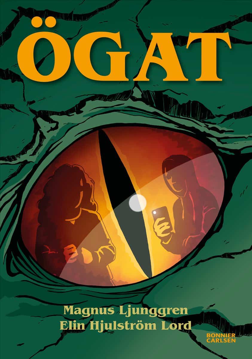 Magnus Ljunggren : Ögat