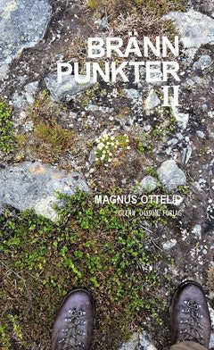 Magnus Ottelid : Brännpunkter II : noveller