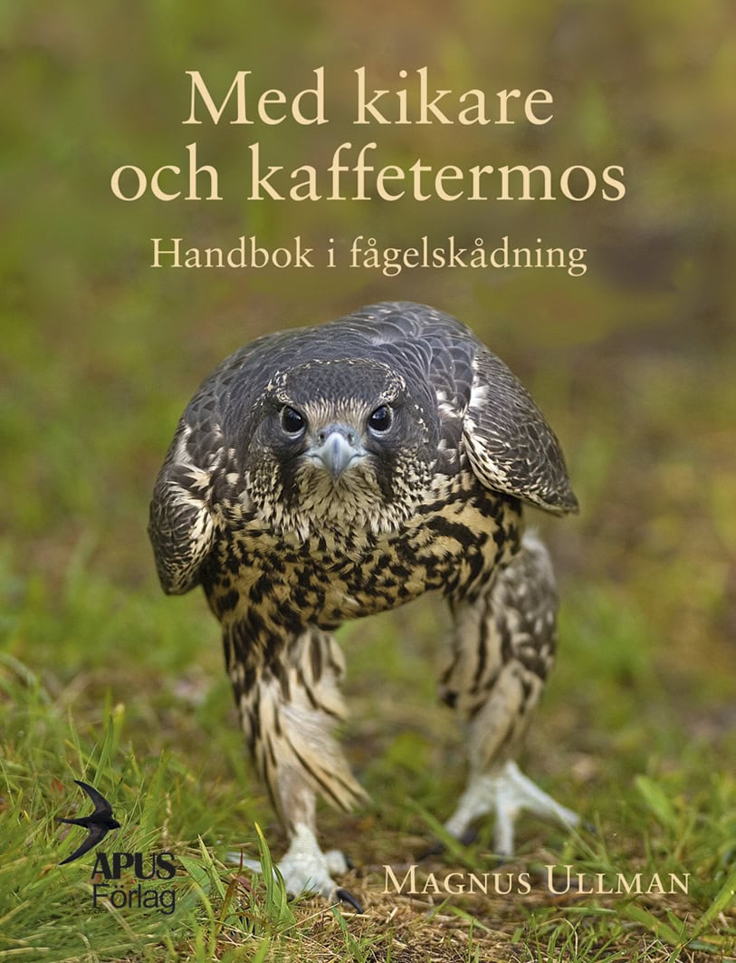 Magnus Ullman : Med kikare och kaffetermos. Handbok i fågelskådning