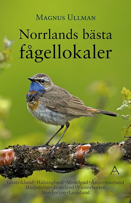 Magnus Ullman : Norrlands bästa fågellokaler