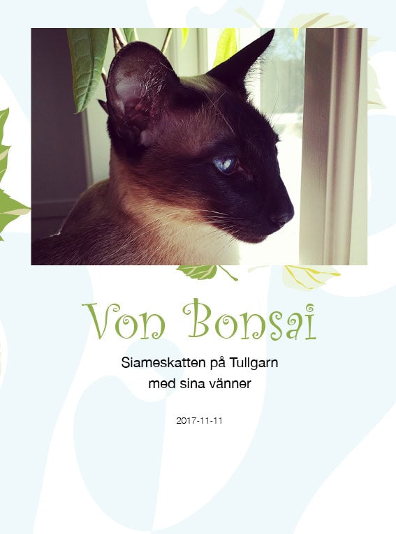 Maija Strömblad Mansnerus : Von Bonsai : siameskatten på Tullgarn med sina vänner